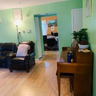 A cozy living room with green walls, featuring comfortable seating and a piano.