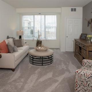 A cozy living room with a sofa, coffee table, and decorative elements.