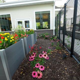 A neatly landscaped garden with vibrant flowers beside a building.