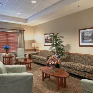 A comfortable waiting room with sofas, chairs, and decorative elements.