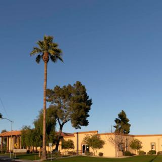 A building surrounded by palm trees and a clear blue sky.