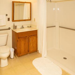 A clean, well-lit bathroom with a shower, toilet, and wooden vanity.