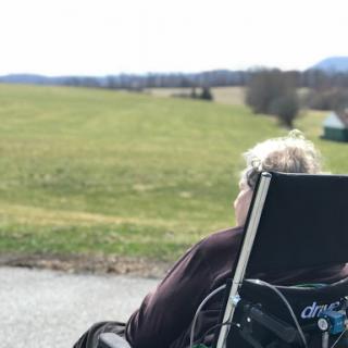 A serene view of a person in a wheelchair looking out over a vast green landscape.