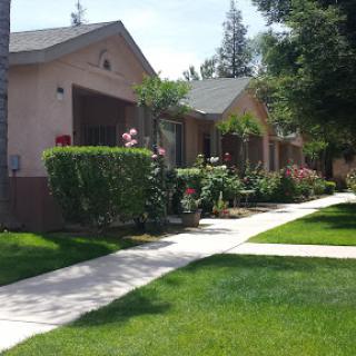 A peaceful residential area featuring well-kept houses and lush landscaping.