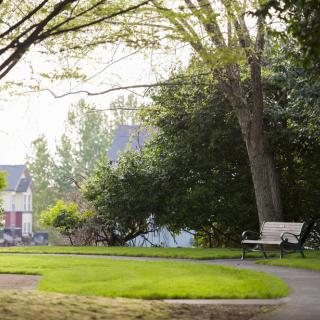 A peaceful park scene with a bench next to a pathway surrounded by lush trees and greenery.