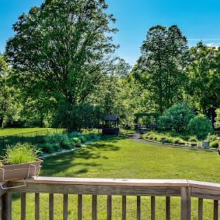 A lush green backyard with a wooden deck and surrounding trees.