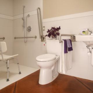 An accessible bathroom with a toilet, sink, grab bars, and a shower chair.