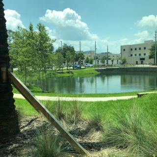 A serene view of a park featuring a tranquil lake surrounded by greenery and urban elements under a partly cloudy sky.