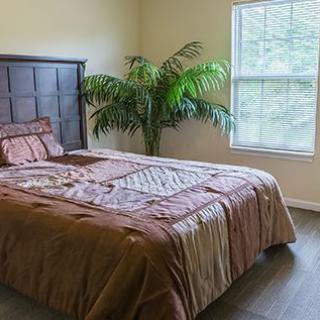 A cozy bedroom with a neatly made bed and a potted plant by the window.