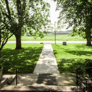 A concrete walkway leading through a lush green garden, flanked by towering trees on a sunny day.