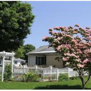 A charming house with a white picket fence and a blooming tree in the garden.