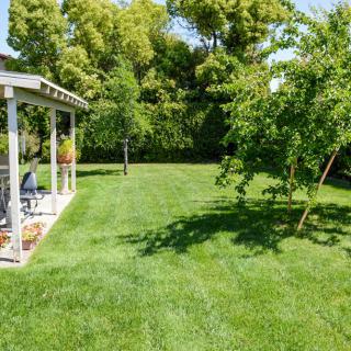 A well-maintained backyard with a lush green lawn and a patio area.