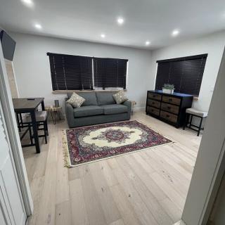 A modern living room with a sofa, decorative rug, and dining area.