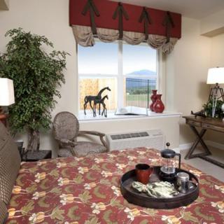 A cozy living room with decorative elements, including a patterned tablecloth, indoor plants, and horse figurines by the window.
