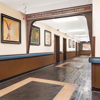 A well-lit hallway adorned with various art pieces and wooden flooring, showcasing a blend of elegance and creativity.
