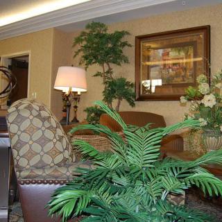 A cozy living room featuring comfortable chairs, decorative plants, a table lamp, and wall art.