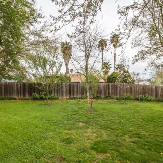 A spacious backyard with green grass, trees, and a wooden fence.