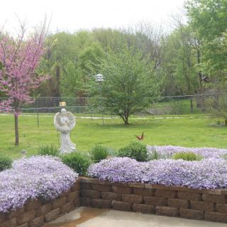 A serene garden view showcasing vibrant flowers and lush trees.