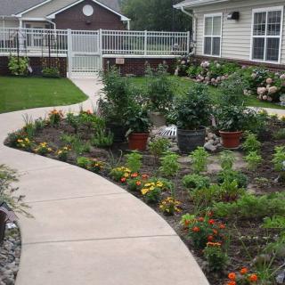 A landscaped garden with a winding pathway, lined with various plants and flowers in a residential area.
