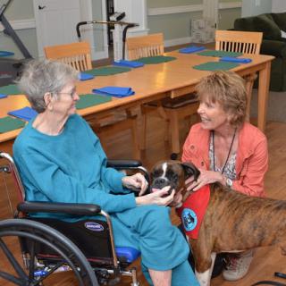 A heartwarming moment of companionship between a senior resident and a therapy dog, supported by a caregiver in a welcoming environment.