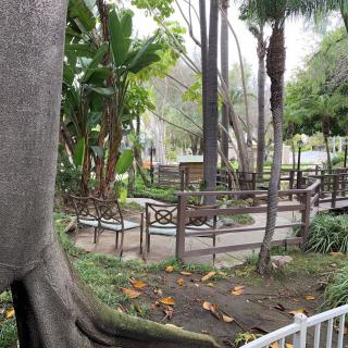 A serene park setting with a pathway surrounded by trees and benches.