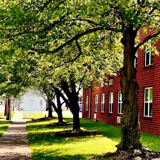 A serene pathway lined with trees beside a charming red building.