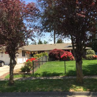 A suburban house with a well-maintained lawn and colorful landscaping.