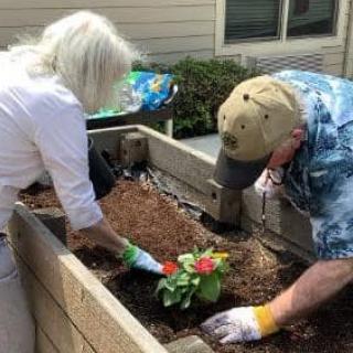 Two people working together to plant a flower in a raised garden bed.