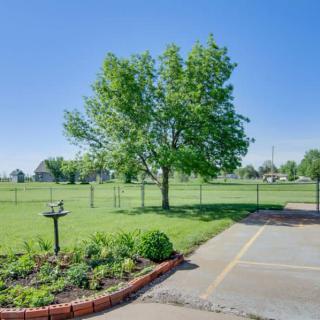 A sunny day in a yard with a tree, garden bed, and paved area.