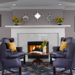A cozy living room with a fireplace, featuring elegant furniture and stylish decor.