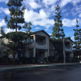 A suburban residential building surrounded by tall trees on a cloudy day.