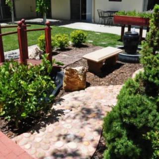 A beautifully landscaped garden area with a bench and various plants under a sunny sky.