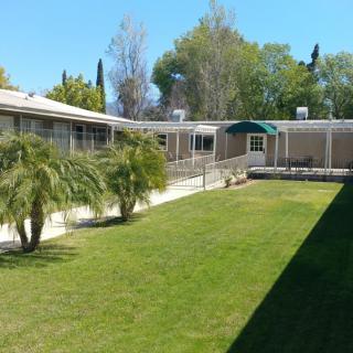 A sunny courtyard with palm trees and a grassy area surrounded by buildings.