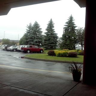 A view of a rainy parking lot with trees and parked vehicles.