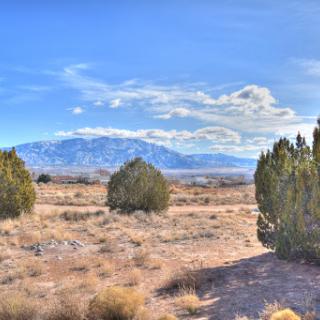 A serene desert landscape framed by shrubs, with distant mountains under a clear blue sky.