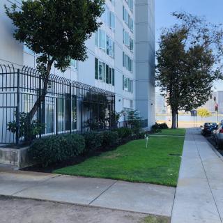 A street view of a building with a sidewalk and greenery.
