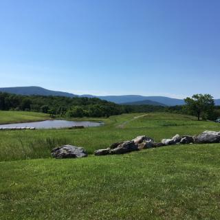 A serene landscape with rolling hills, a small pond, and distant mountains under a clear blue sky.