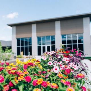 A vibrant display of flowers in front of a modern building under a clear blue sky.