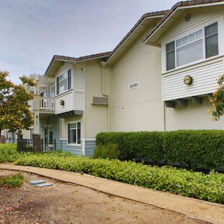 A view of a residential apartment building with landscaped surroundings and a pathway.