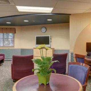 A cozy waiting room with comfortable seating, a television, and a small table with a plant.