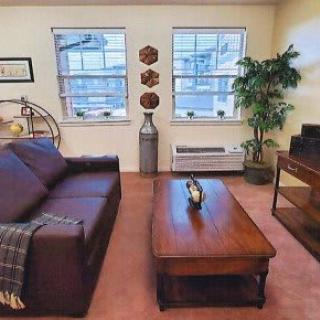 A cozy living room with a brown sofa, wooden coffee table, and two windows letting in natural light.