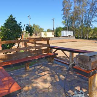 A sunny outdoor patio area with wooden benches and a table, surrounded by trees.