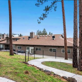 A residential building surrounded by tall trees, with a paved pathway leading to its entrance.
