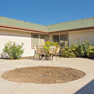A sunny courtyard with a patio set surrounded by plants.