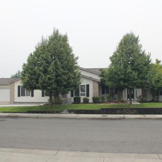A charming suburban home surrounded by neatly trimmed trees.