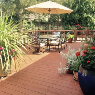 A sunny outdoor deck adorned with plants and a cozy seating area, perfect for relaxation.