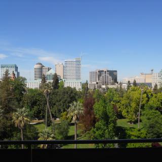 A vibrant city skyline set against a clear blue sky, showcasing a blend of nature and urban life.