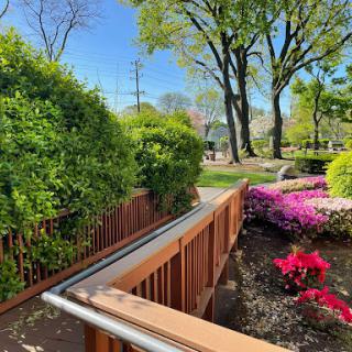 A serene garden path bordered by vibrant flowers and lush greenery, inviting visitors to explore the beauty of nature.