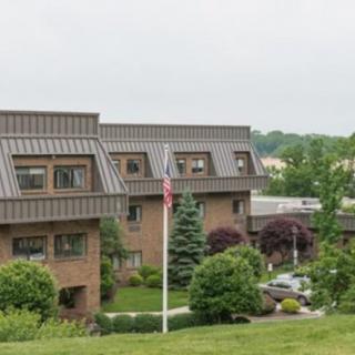 A view of a building with a metal roof surrounded by greenery and a flagpole in front.