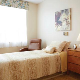 A cozy and well-decorated bedroom featuring a single bed, bedside lamp, and natural light streaming in through the window.